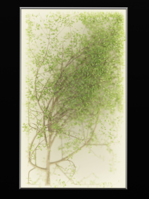 plants-in-the-light-box-vol-176-blender-3d-model-2d777ec36e