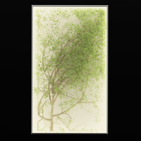 Plants in the light box vol 176-Blender