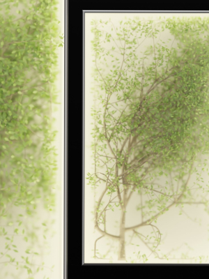 Plants in the light box vol 176-Blender