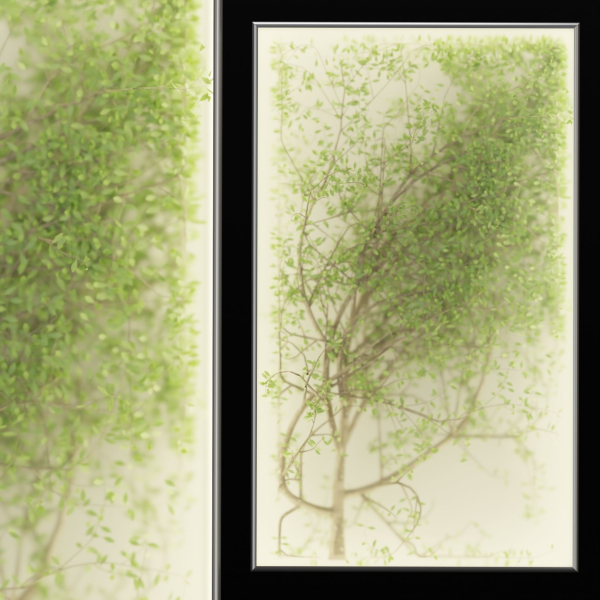 Plants in the light box vol 176-Blender