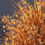 Plants Libertia Grandiflora Grass