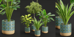 plants new collection vol 21-Blender