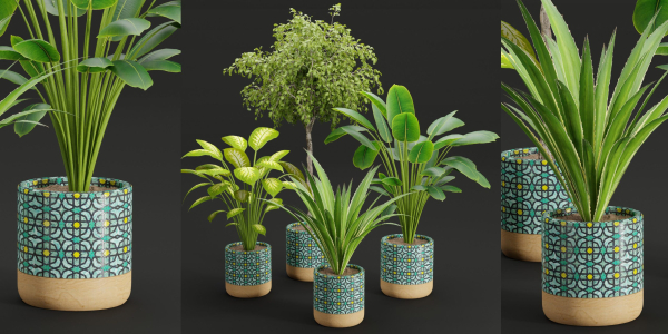 plants new collection vol 21-Blender