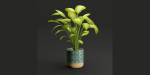 plants new collection vol 21-Blender