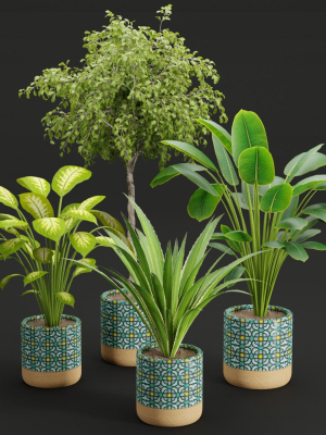 plants new collection vol 21-Blender