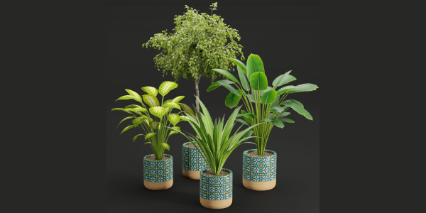 plants new collection vol 21-Blender