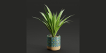 plants new collection vol 21-Blender