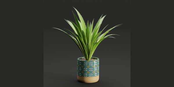 plants new collection vol 21-Blender