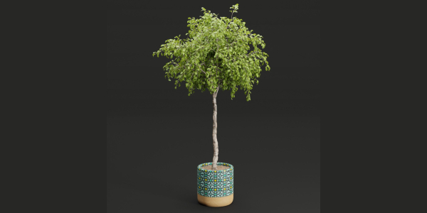plants new collection vol 21-Blender