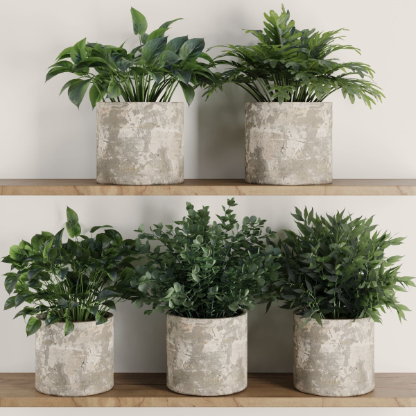Plants on Shelf SetV5