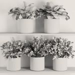 Plants on Shelf SetV5