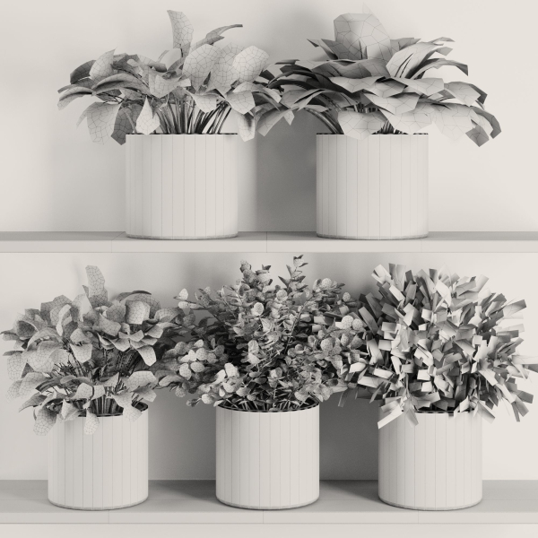 Plants on Shelf SetV5
