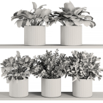 Plants on Shelf SetV5