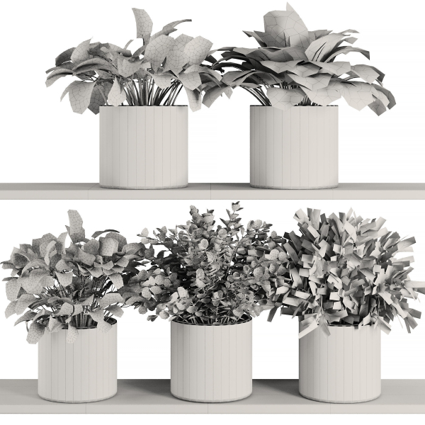 Plants on Shelf SetV5