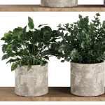 Plants on Shelf SetV5