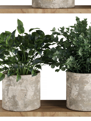 plants-on-shelf-setv5-3d-model-8027282300