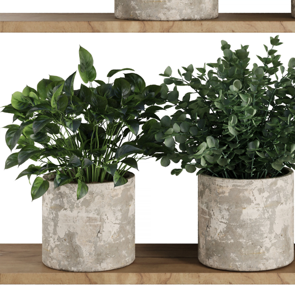 Plants on Shelf SetV5