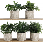 Plants on Shelf SetV5