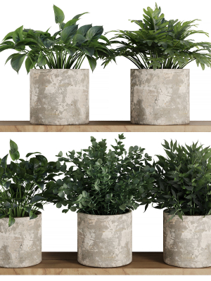 Plants on Shelf SetV5