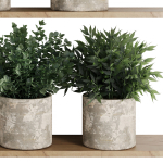Plants on Shelf SetV5