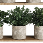 Plants on Shelf SetV5
