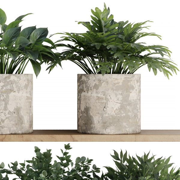Plants on Shelf SetV5
