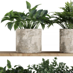 Plants on Shelf SetV5