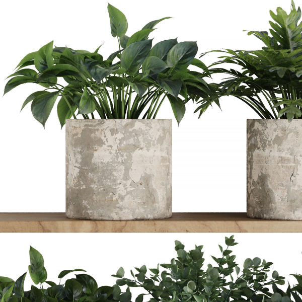 Plants on Shelf SetV5