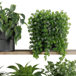 Plants on Shelf SetV6