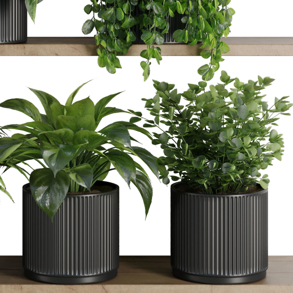 Plants on Shelf SetV6