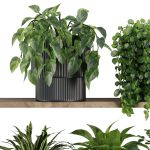 Plants on Shelf SetV6