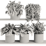 Plants on Shelf SetV6