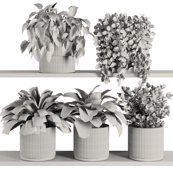 Plants on Shelf SetV6