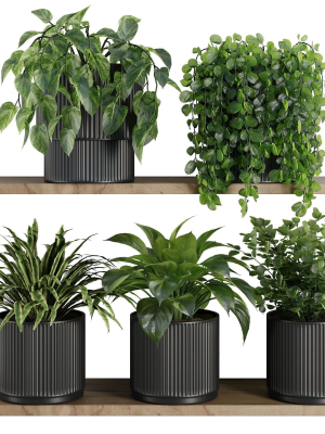 Plants on Shelf SetV6