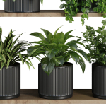 Plants on Shelf SetV6