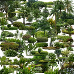 Plants Photohsop