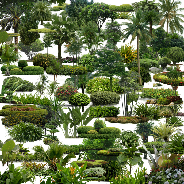 Plants Photohsop