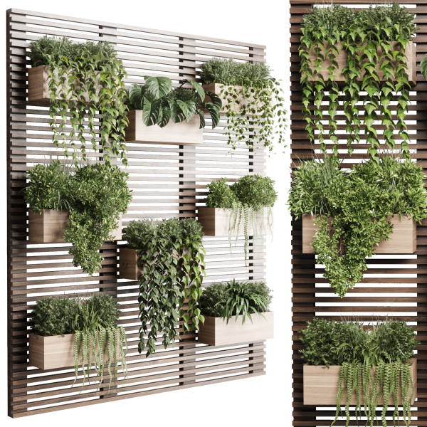 plants set partition in wooden frame Vertical graden