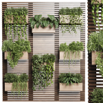 plants set partition in wooden frame Vertical graden