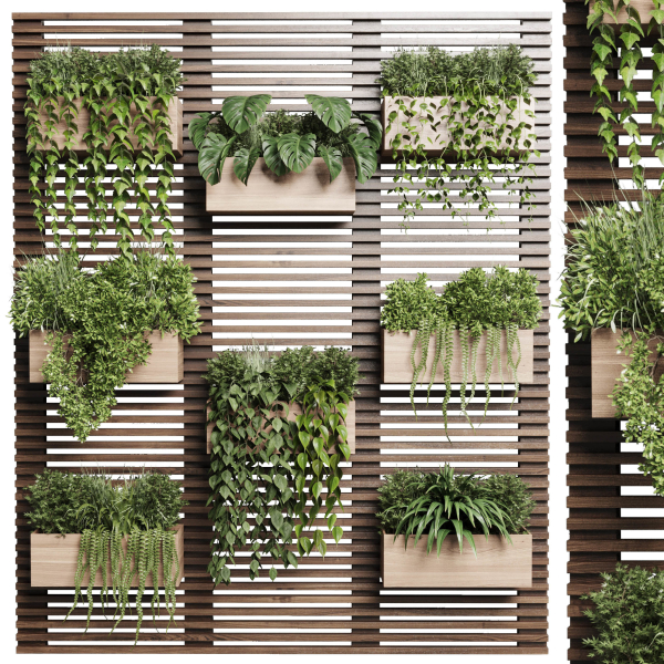 plants set partition in wooden frame Vertical graden