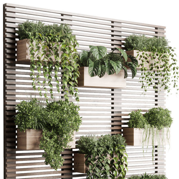 plants set partition in wooden frame Vertical graden