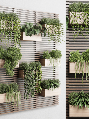 plants set partition in wooden frame Vertical graden