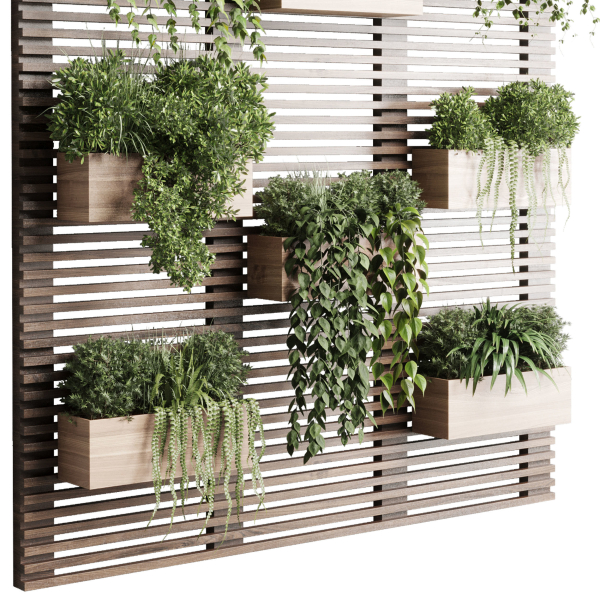 plants set partition in wooden frame Vertical graden