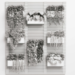 plants set partition in wooden frame Vertical graden