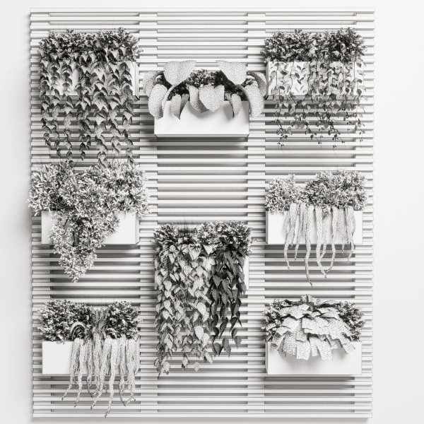 plants set partition in wooden frame Vertical graden