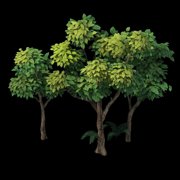 Plants - Shrubs 58