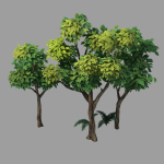 Plants - Shrubs 58