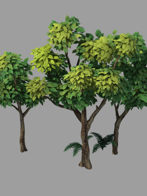 Plants - Shrubs 58