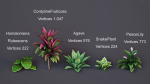 Plants Tropical G93