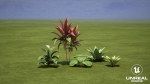Plants Tropical G93